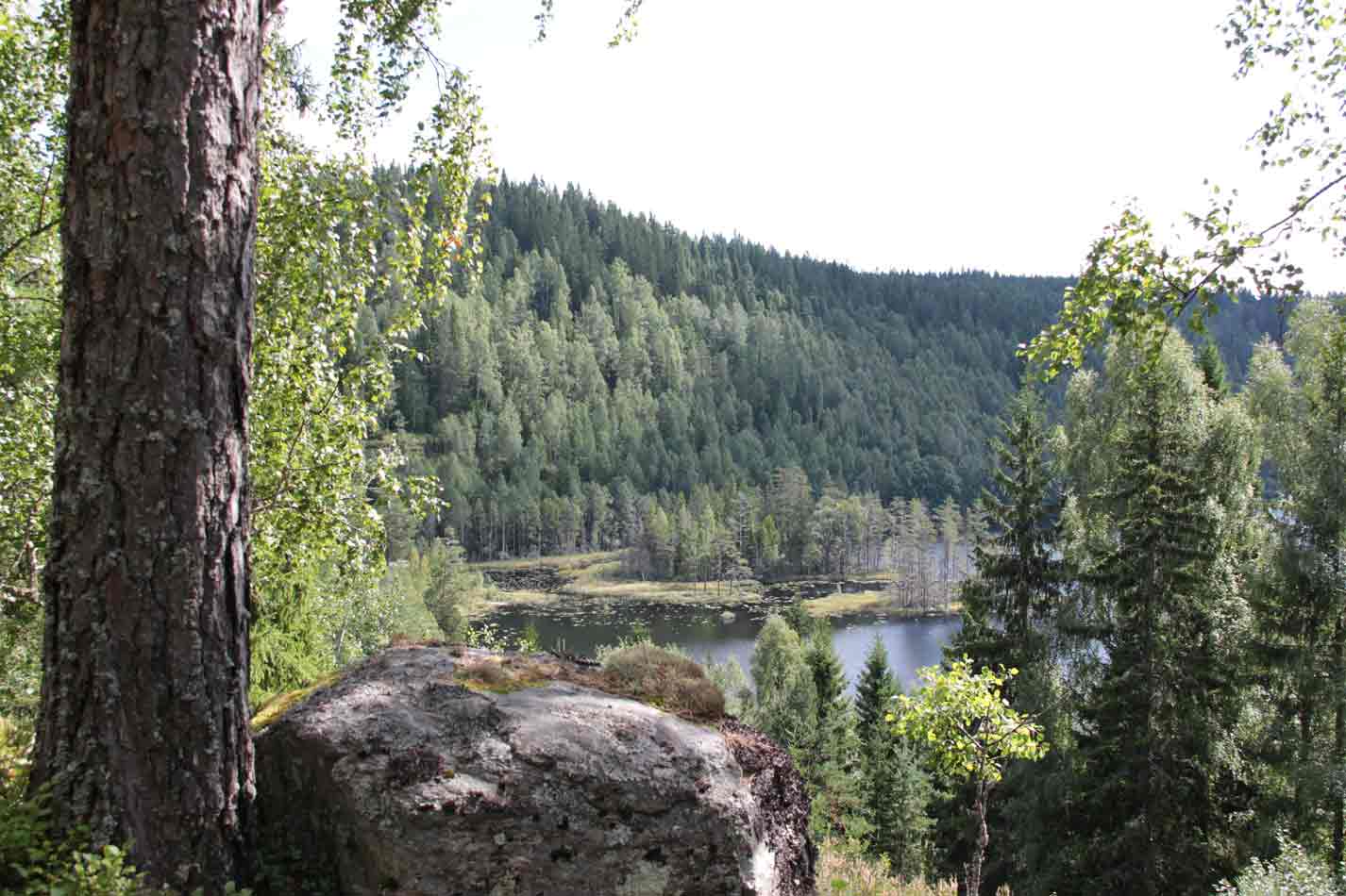järnskogsfjället naturreservat
