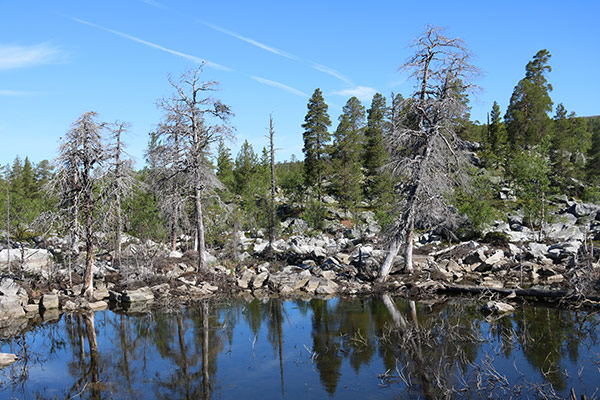 rogen naturreservat