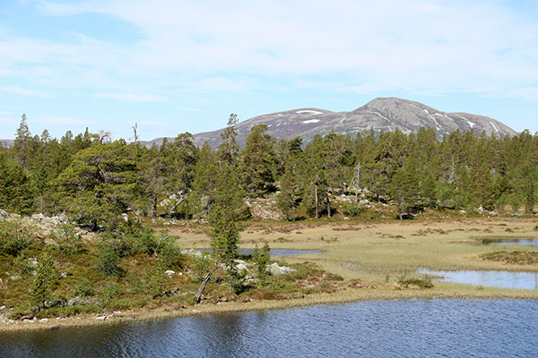 rogens nationalpark