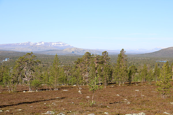 käringsjön