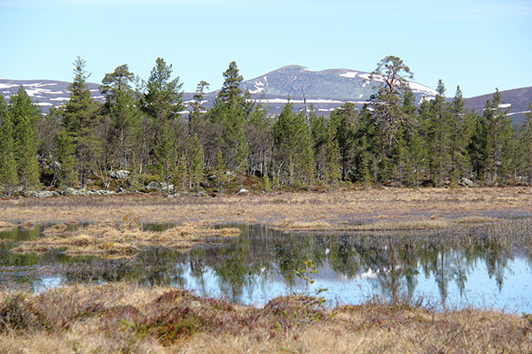 gränslandet