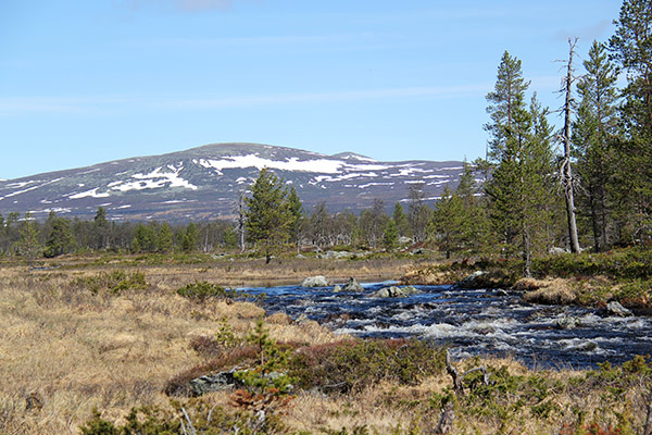 snösmältning