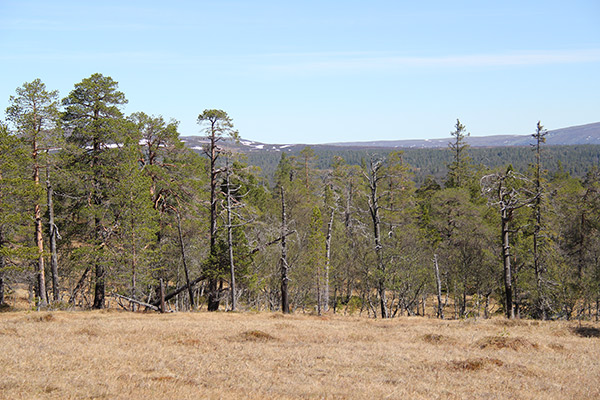 nationalpark