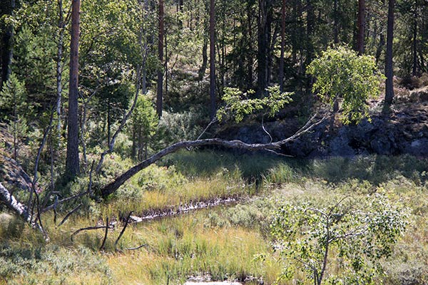 Hølvannet