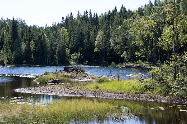 Hølvannet