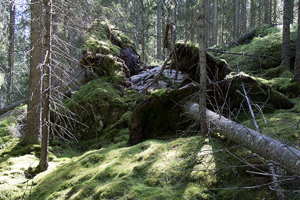 Hølvannet