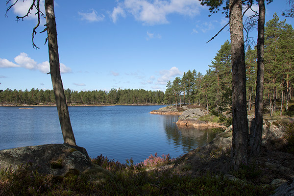 Hølvannet