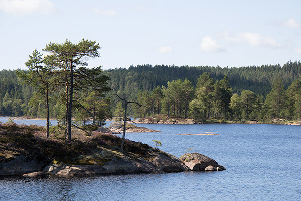 Hølvannet