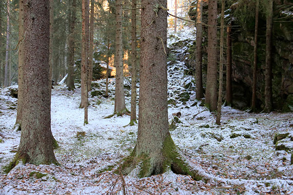 jössestugan