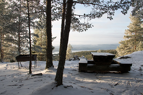 gallberget