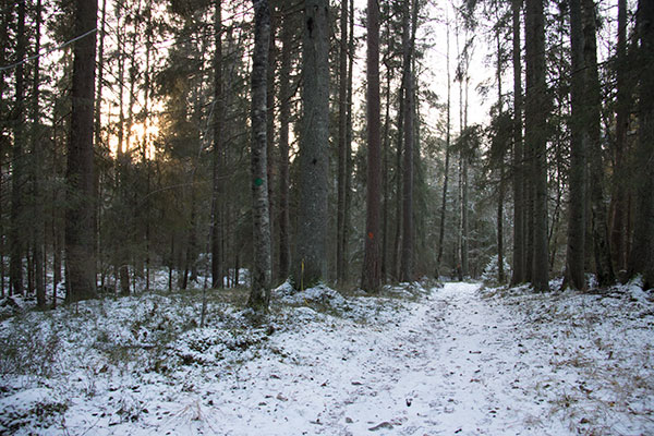 jössestugan