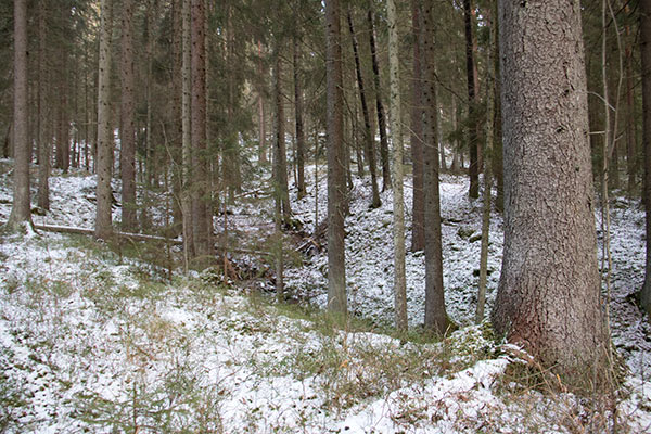 Jössestugan
