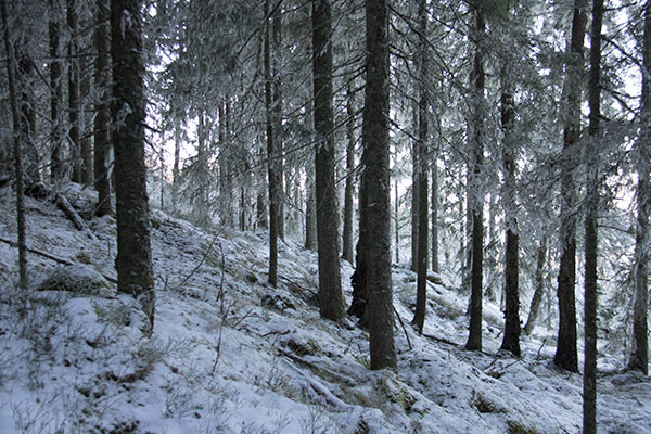 rackstadberget