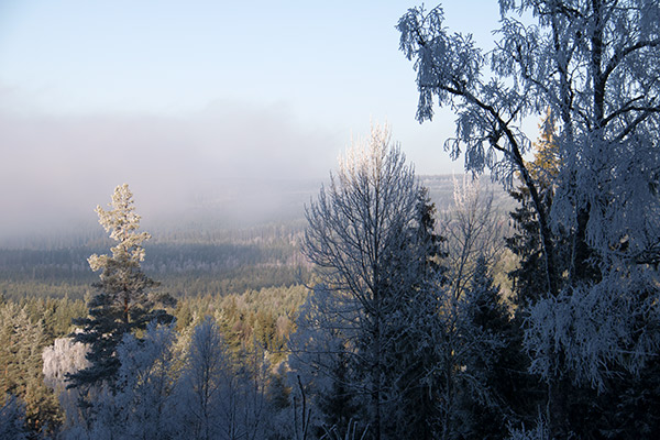 rackstadberget