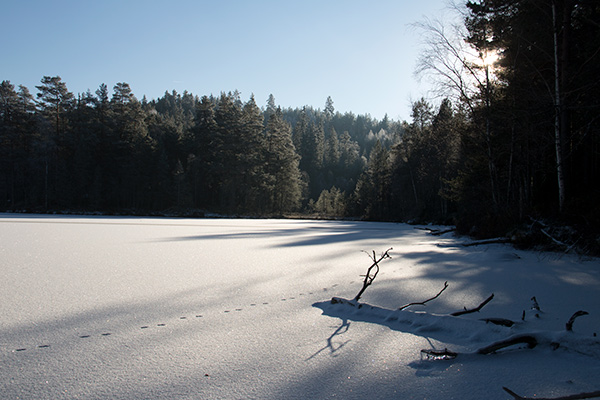 jössestugan