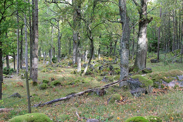 prästön
