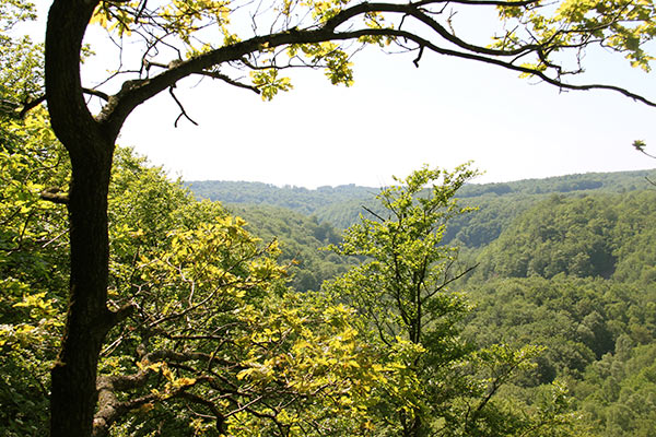 Söderåsens Nationalpark